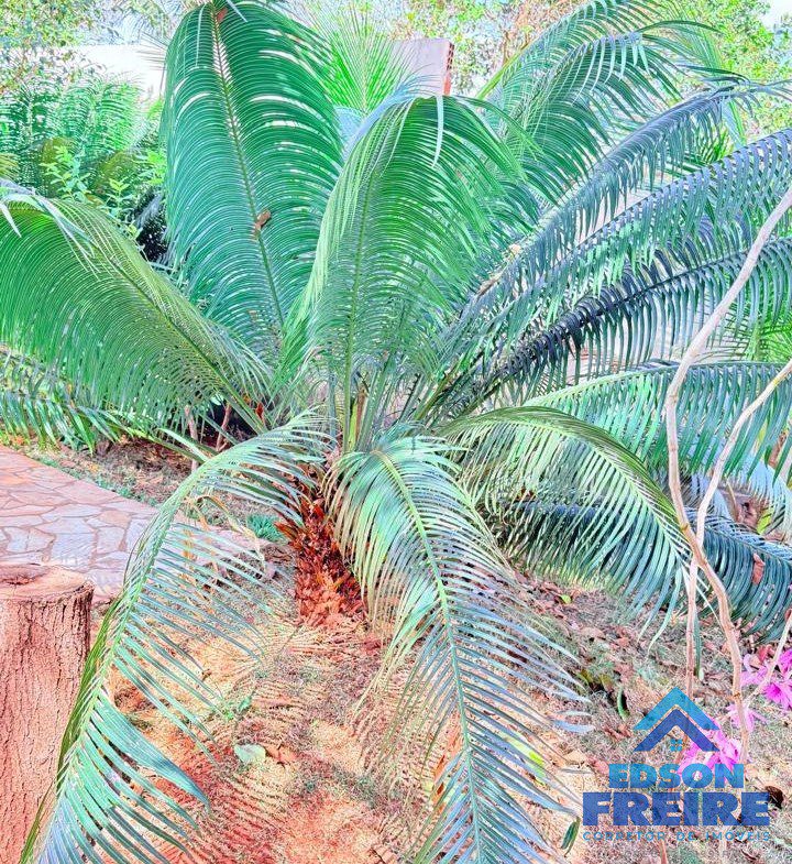 8d03332f-427c-41c5-b35a-22472468559c